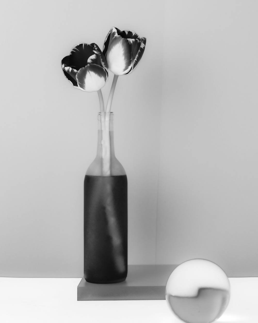 Dos tulipanes en una botella oscura junto a una esfera de cristal, en blanco y negro