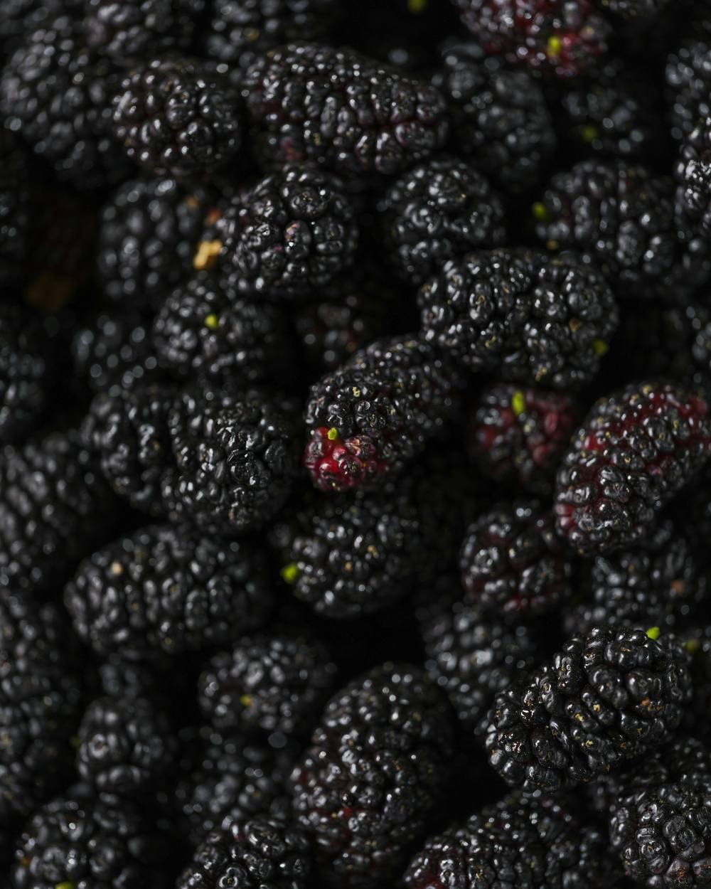 Moras negras apretadas, en primer plano