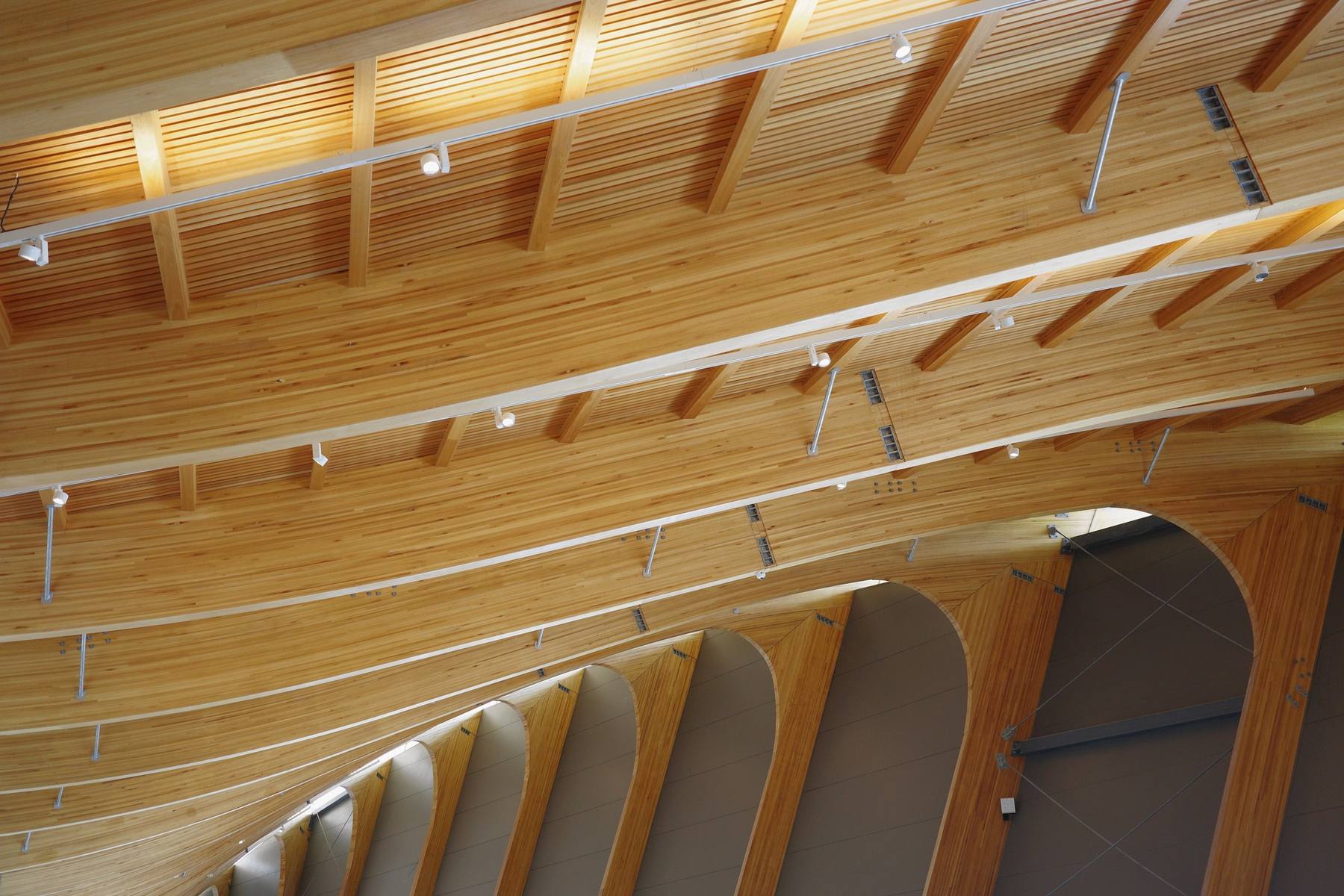 Cubierta de vigas de madera laminada curvas con un lucernario largo y luces de riel
