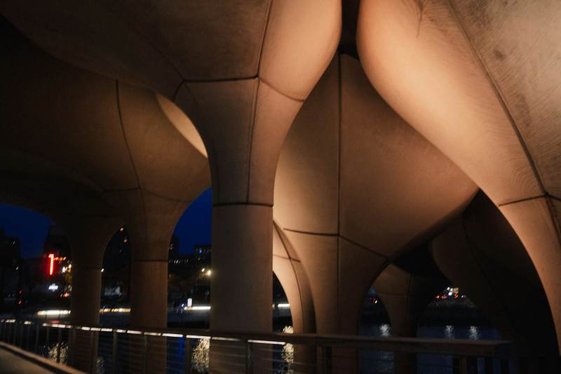 Columnas de un puente bañadas por la luz cálida del atardecer