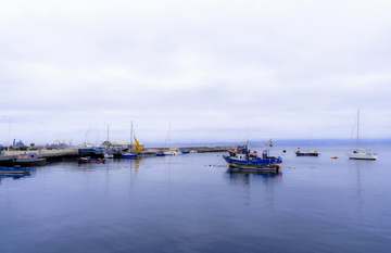 Barcas ancladas en una bahía en calma