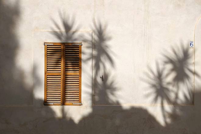 Sombras de palmeras sobre un muro con persiana