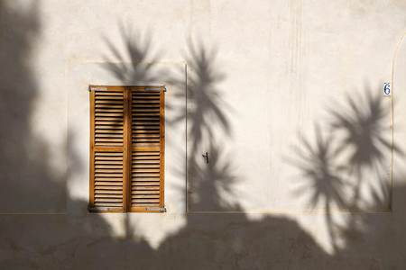 Sombras de palmeras sobre un muro con persiana