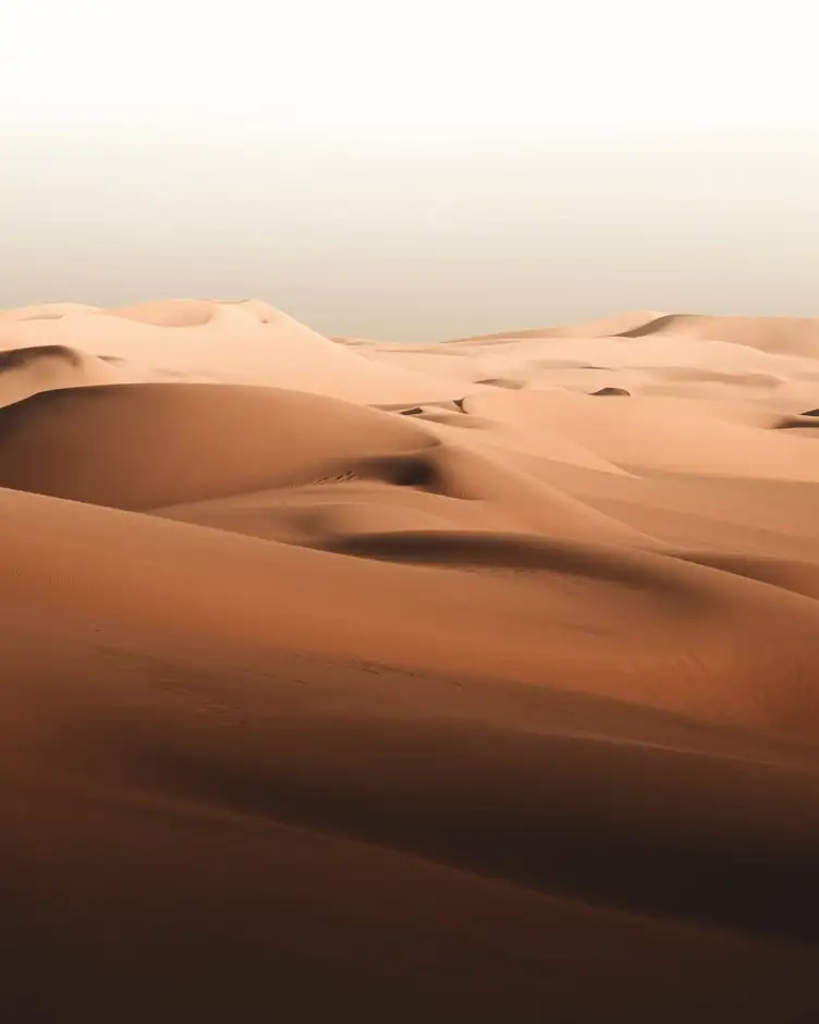 Dunas de color naranja hasta el horizonte