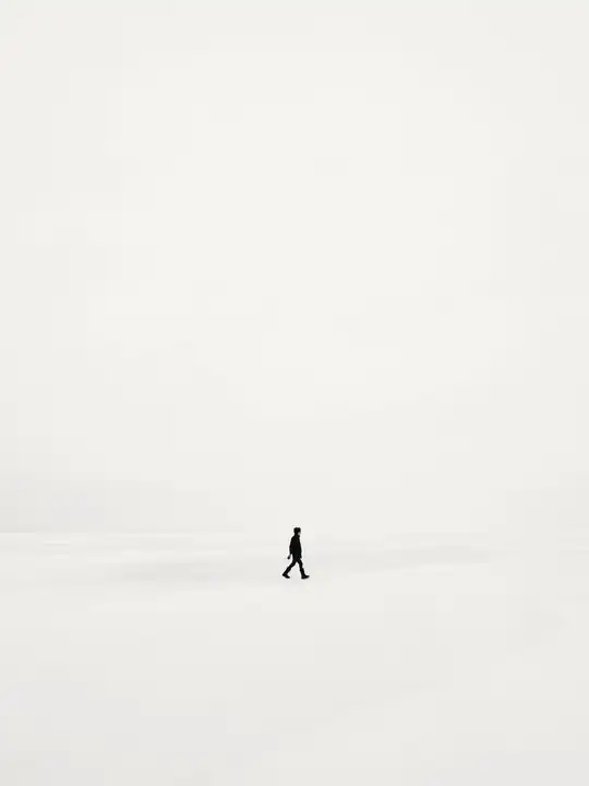 Una figura diminuta camina sobre un campo de nieve