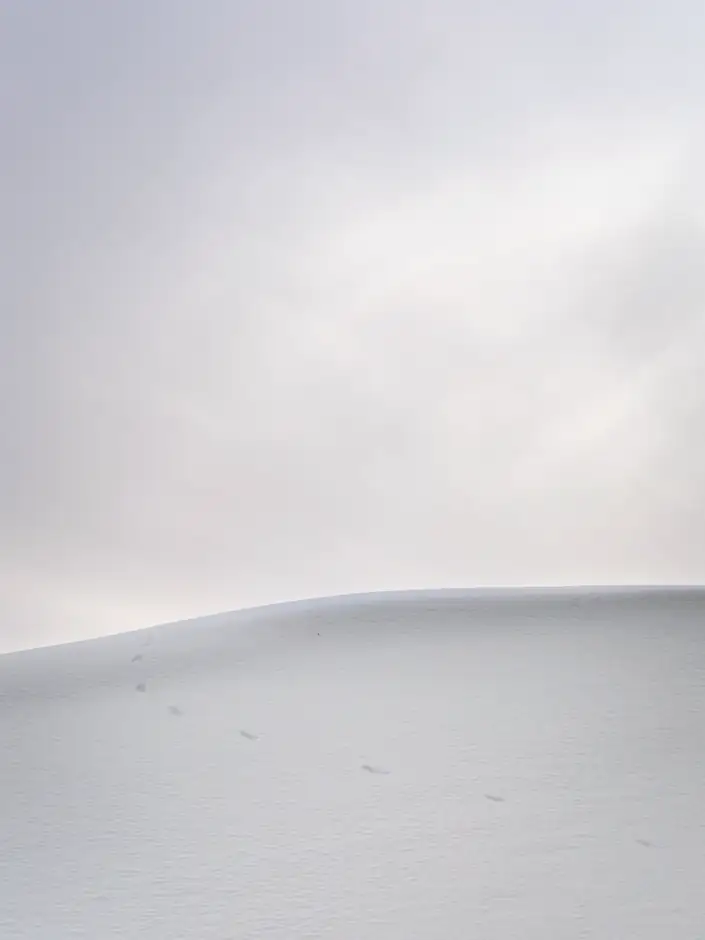 Lomas de nieve bajo un cielo gris claro