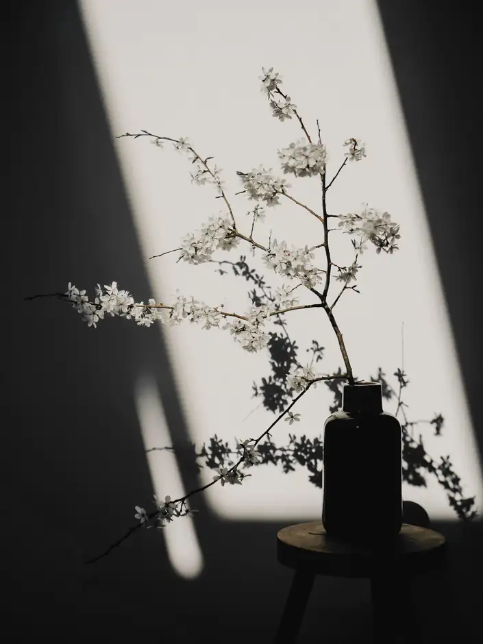 Ramas con flores blancas en un jarrón oscuro, con una franja de luz