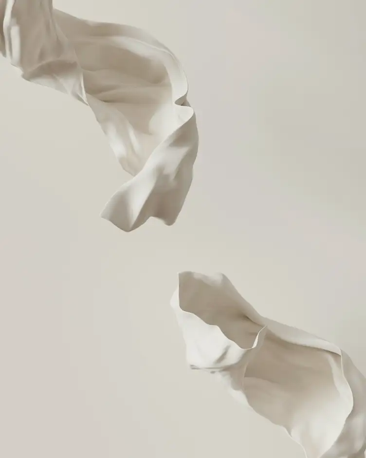 Dos pañuelos blancos suspendidos en el aire