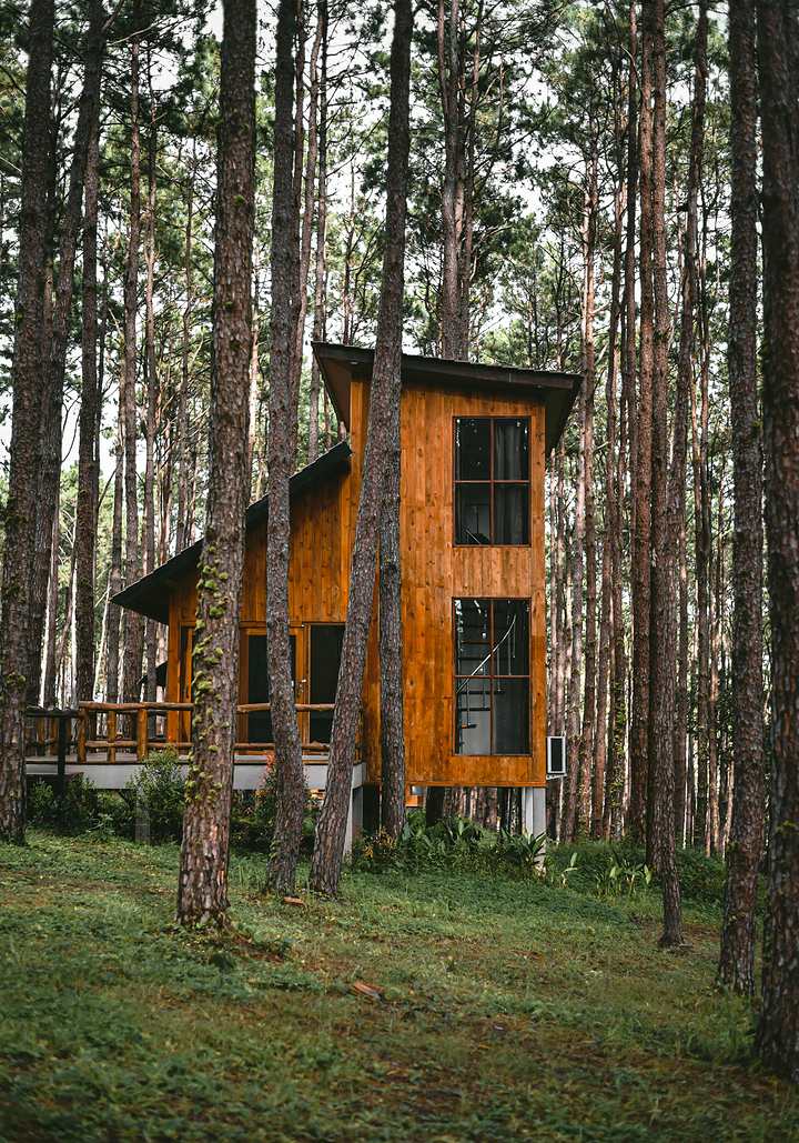 Casa en el pinar