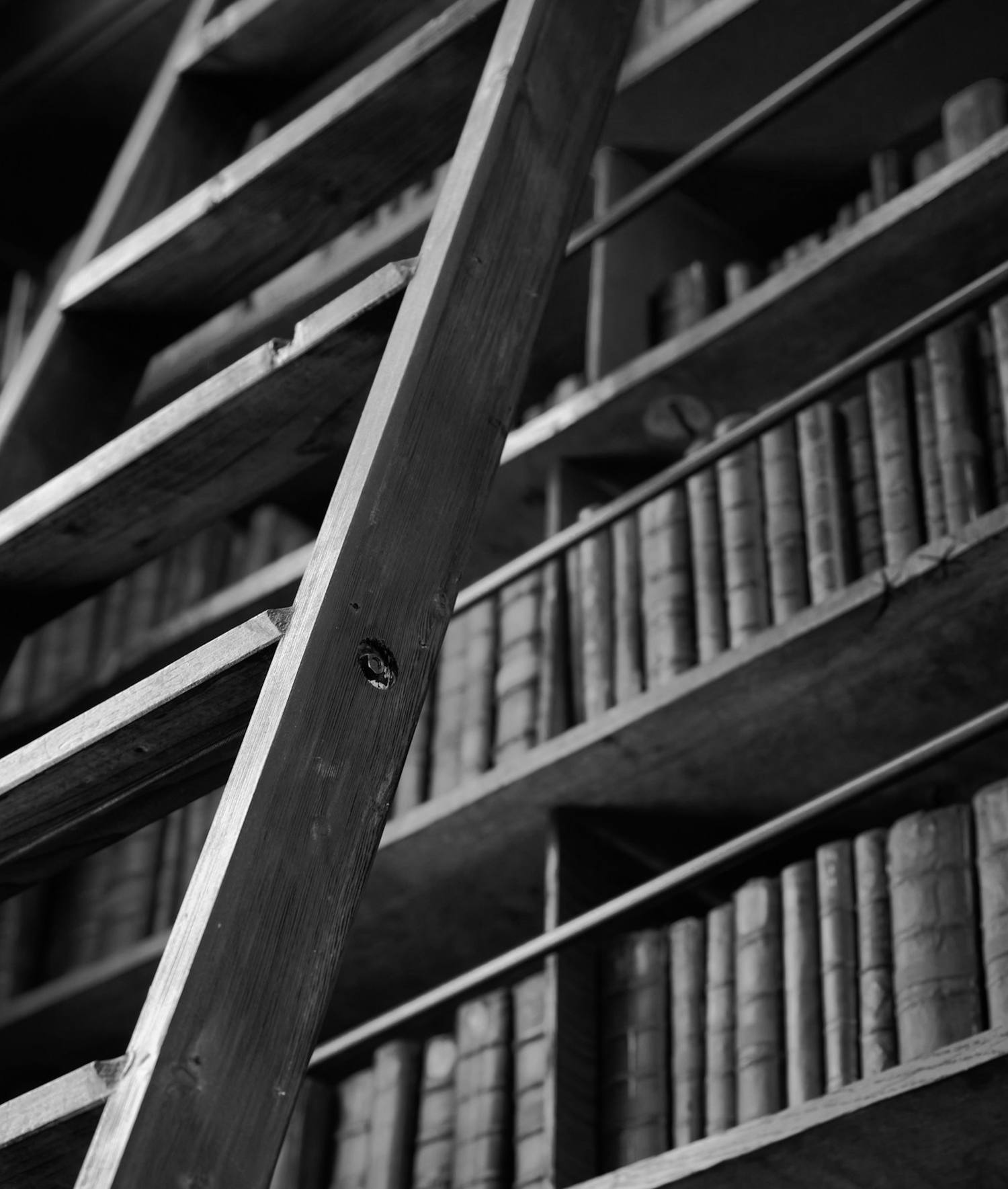 Escalera apoyada en una estantería de libros antiguos