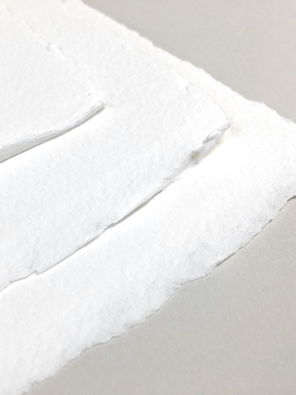 Borde barbado de un papel de algodón