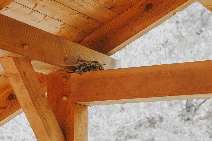 Encuentro de vigas de madera clara en una estructura de techo