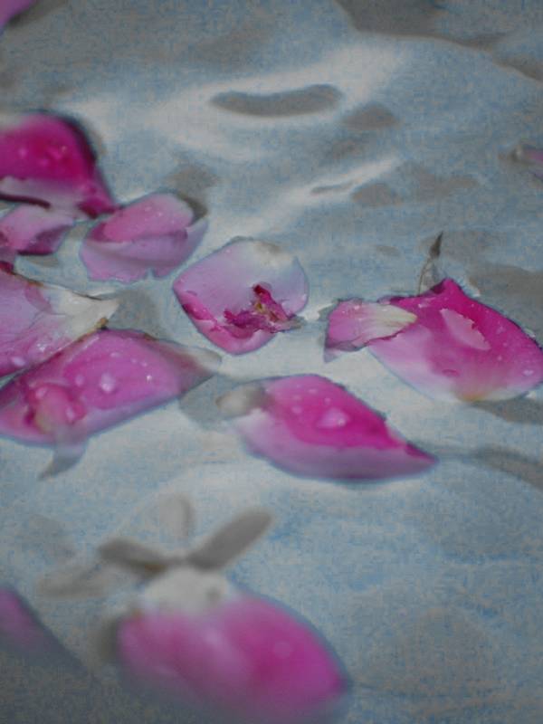 Pétalos rosados flotando sobre agua azulada