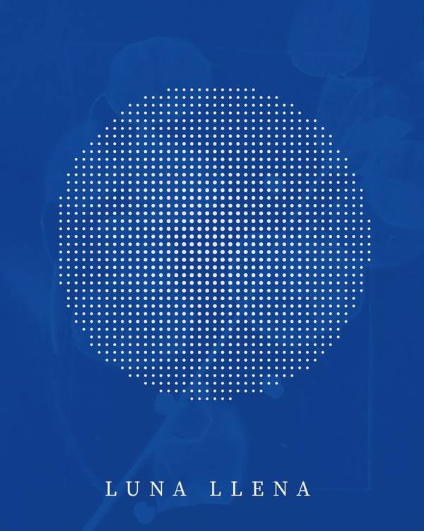 Afiche con una luna llena formada por puntos blancos