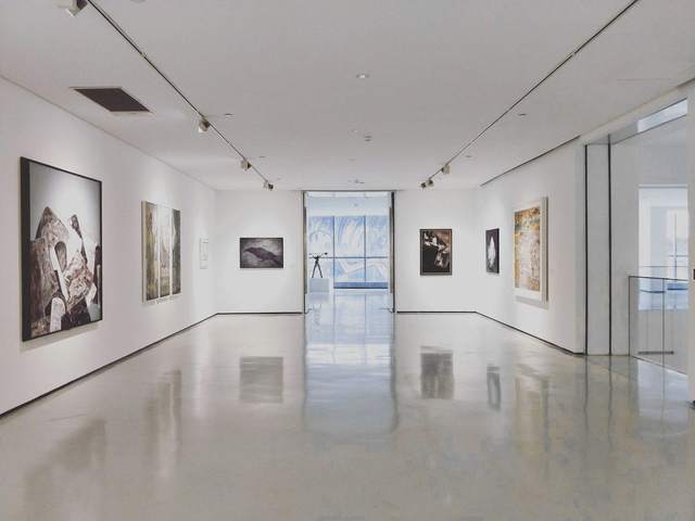 Sala de galería con cuadros en las paredes