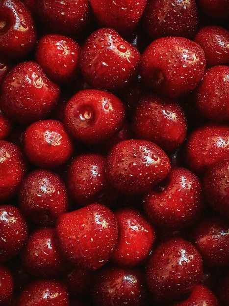 Cerezas rojas recién cosechadas