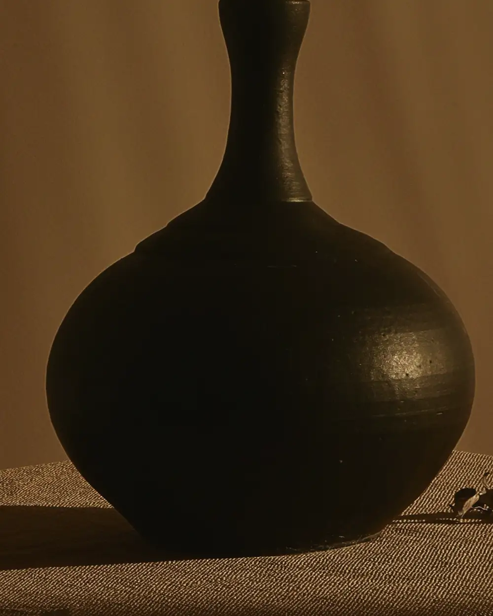 Detalle del cuello y del borde de la jarra oscura