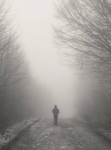 Figura lejana en un camino entre árboles y niebla