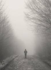 Figura lejana en un camino entre árboles y niebla