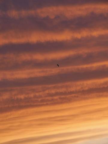 Nubes alargadas de color naranja y violeta