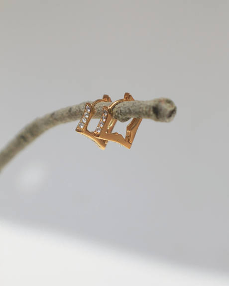 Aros dorados con piedras colgados de una rama seca