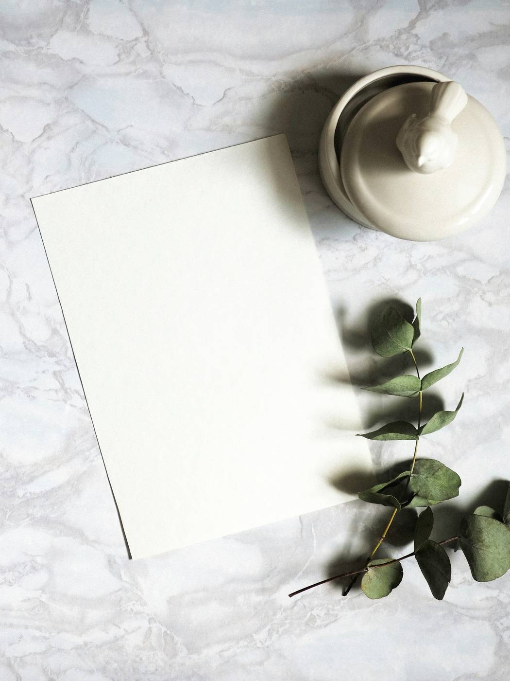 Hoja de papel blanca sobre una mesa de mármol, junto a una rama de eucalipto