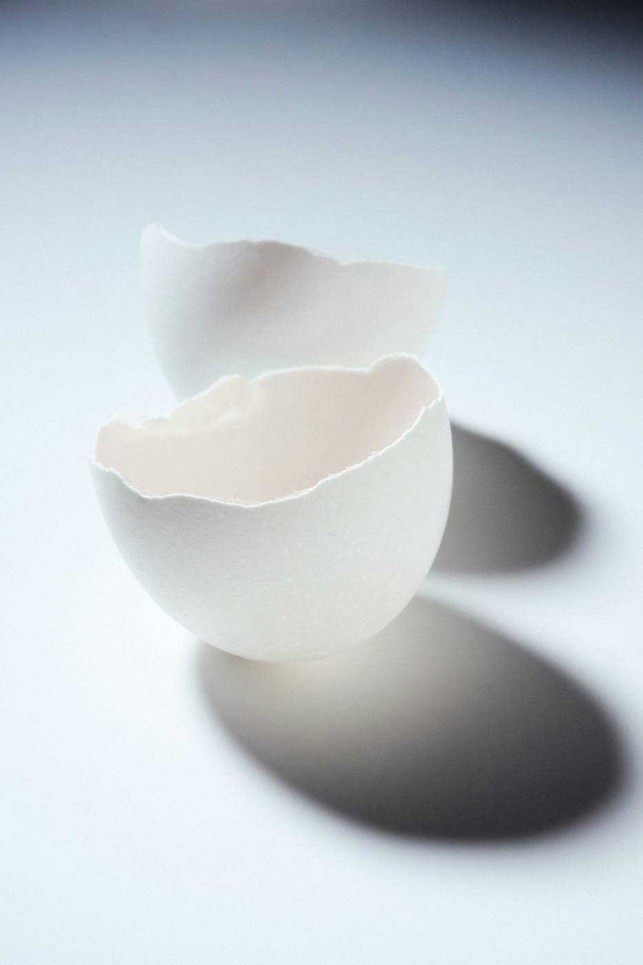 Pieza de porcelana blanca en forma de cáscara, sobre un fondo celeste