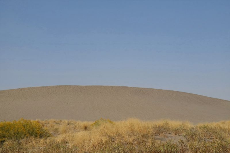 Una duna lisa de arena, matorral seco y un cielo azul grisáceo