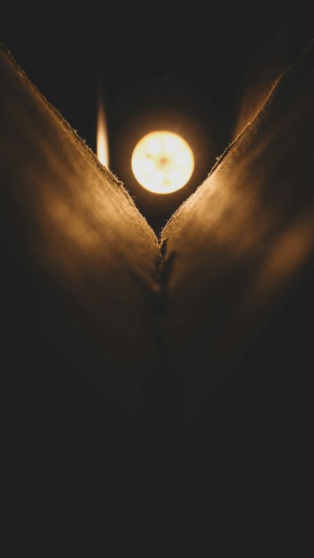 Luz de una llama entre dos hojas secas, en la oscuridad