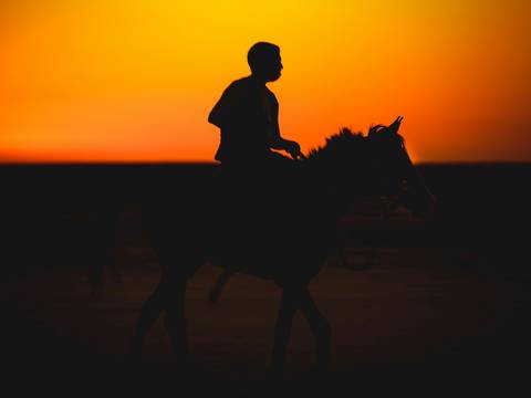 Silueta de un jinete a caballo contra un cielo naranja