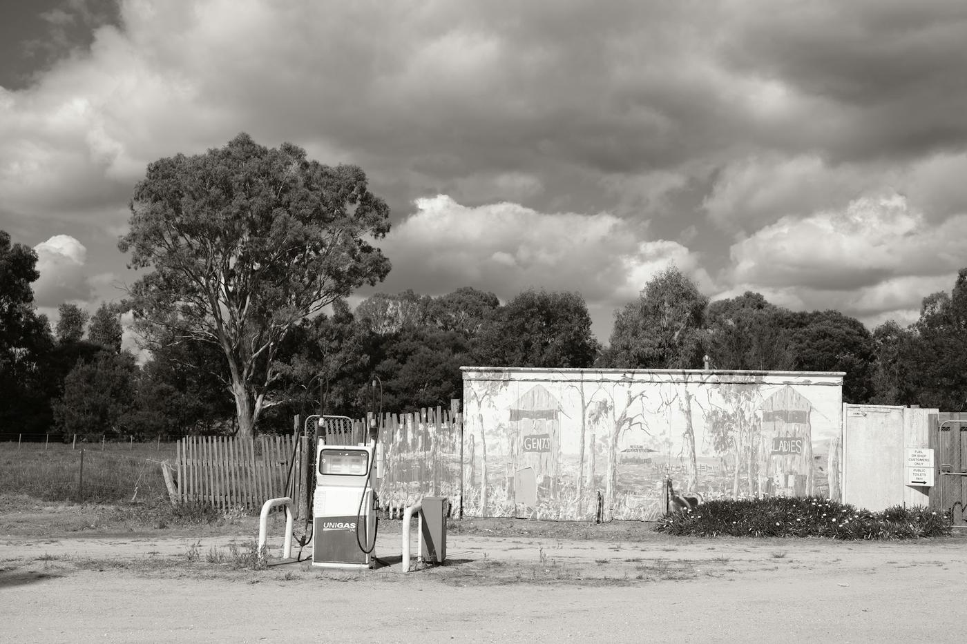 Árboles y un galpón bajo nubes cargadas, en blanco y negro