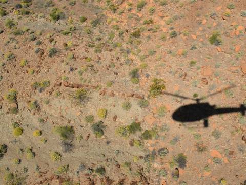 Sombra de un helicóptero sobre tierra roja con matorrales