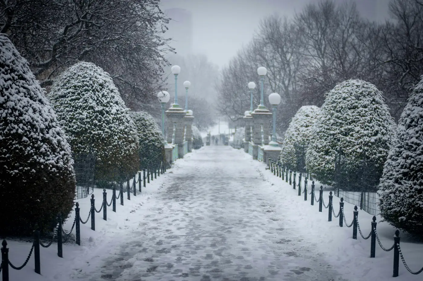 Paseo con setos recortados bajo la nieve