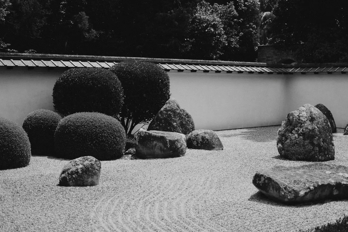 Jardín de grava con setos y rocas en blanco y negro