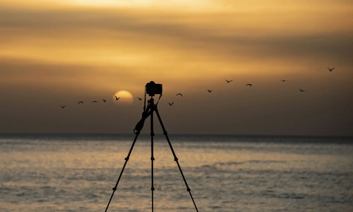 Trípode frente al mar con el sol bajo