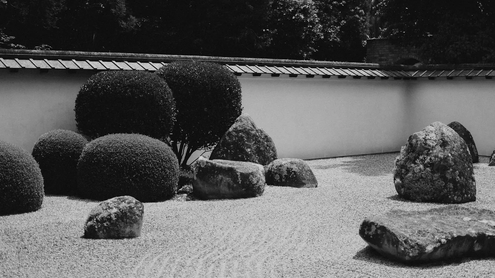 Jardín de grava con setos y rocas en blanco y negro