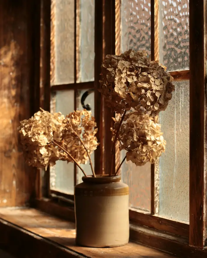 Hortensias secas en un jarro de cerámica junto a una ventana