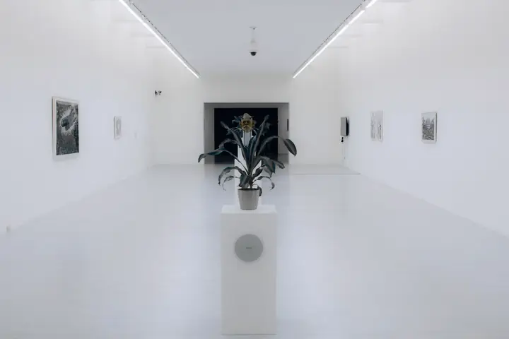 Sala blanca y larga con una planta sobre una peana