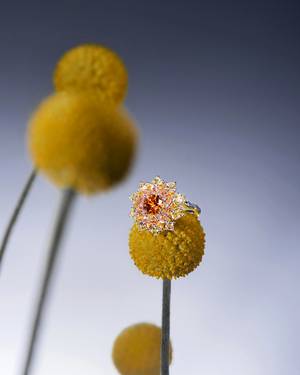 Un anillo con una flor amarilla desenfocada de fondo.