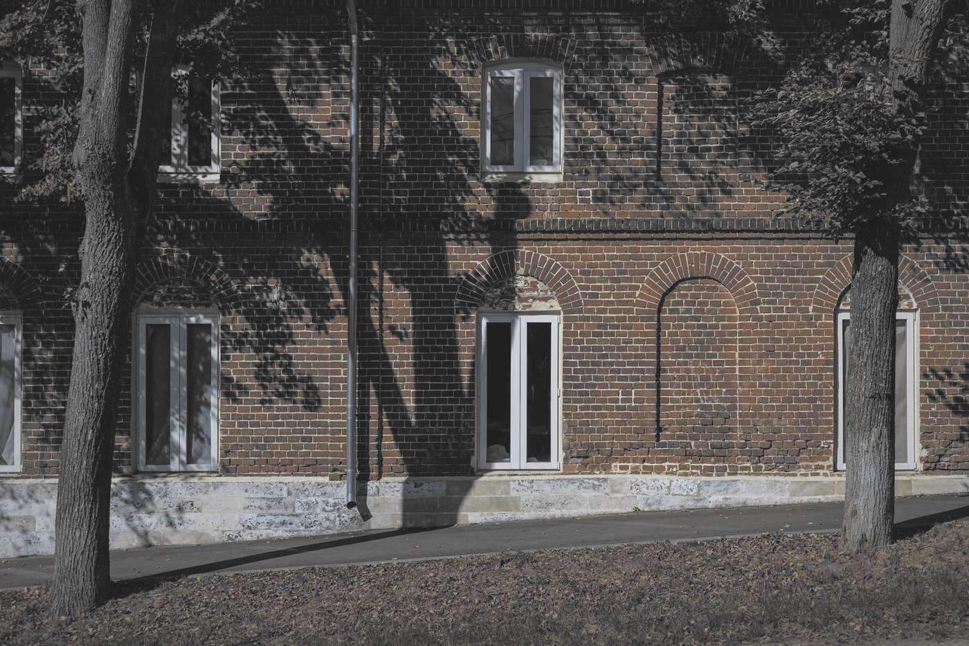 Muro de ladrillo con ventanas blancas y la sombra de unos árboles