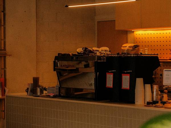 Mostrador de un café con una planta de hojas grandes en primer plano