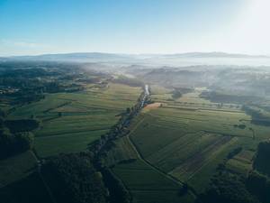 Valle con niebla al amanecer visto desde el aire