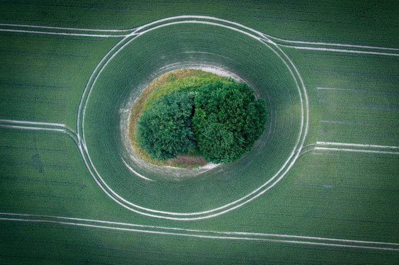 Vista aérea de un anillo de tierra con una isla de árboles en medio de un campo verde