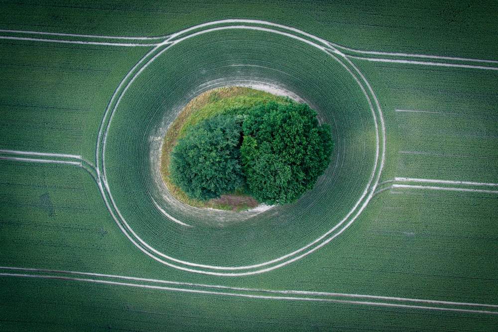 Vista aérea de un anillo de tierra con una isla de árboles en medio de un campo verde