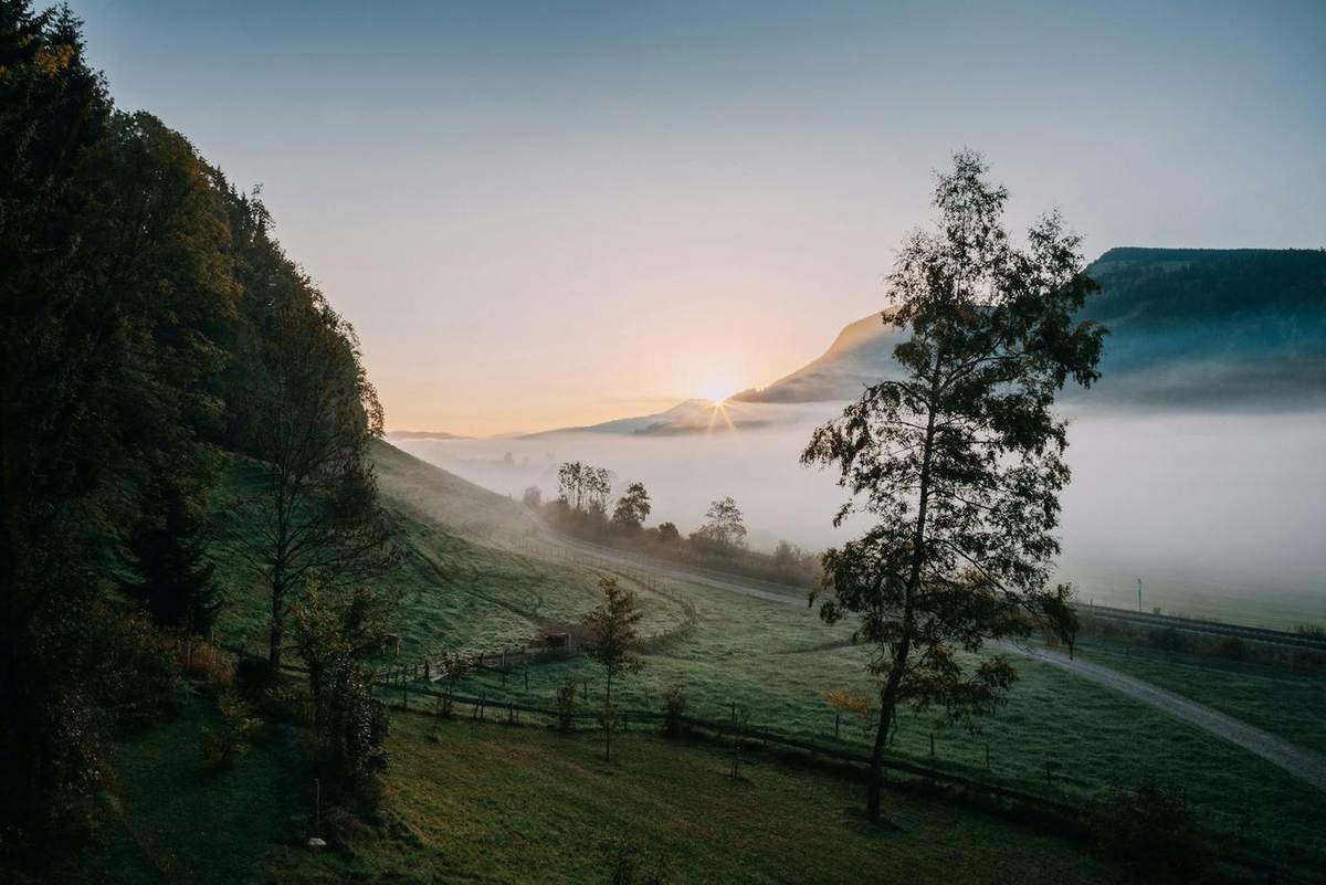Valle verde con árboles y niebla al amanecer