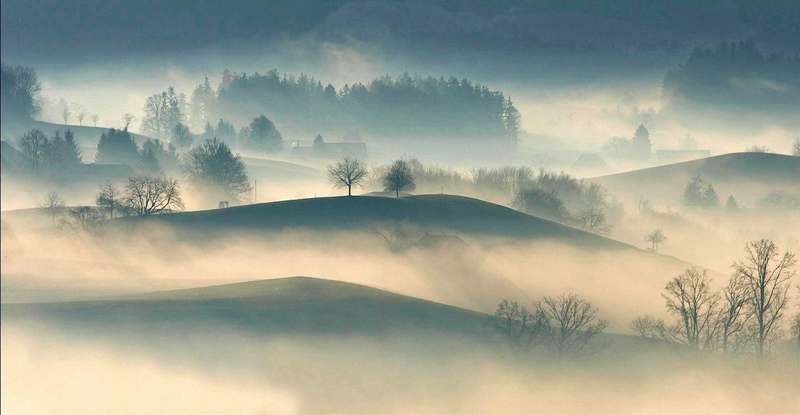 Lomas suaves con árboles aislados entre capas de niebla