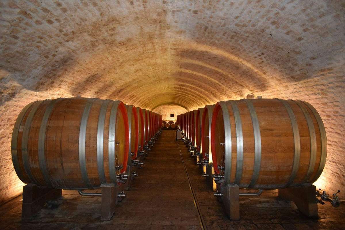 Túnel de bodega con barricas a ambos lados