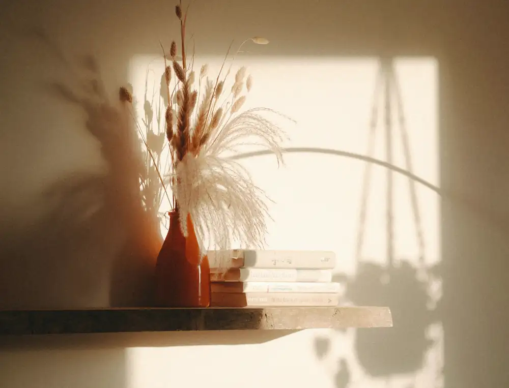 Flores secas y libros en un estante, con sombras en la pared