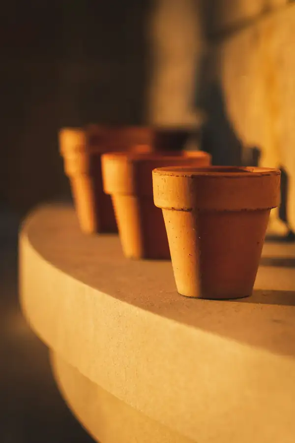 Macetas de barro sobre un borde de piedra a la luz del atardecer