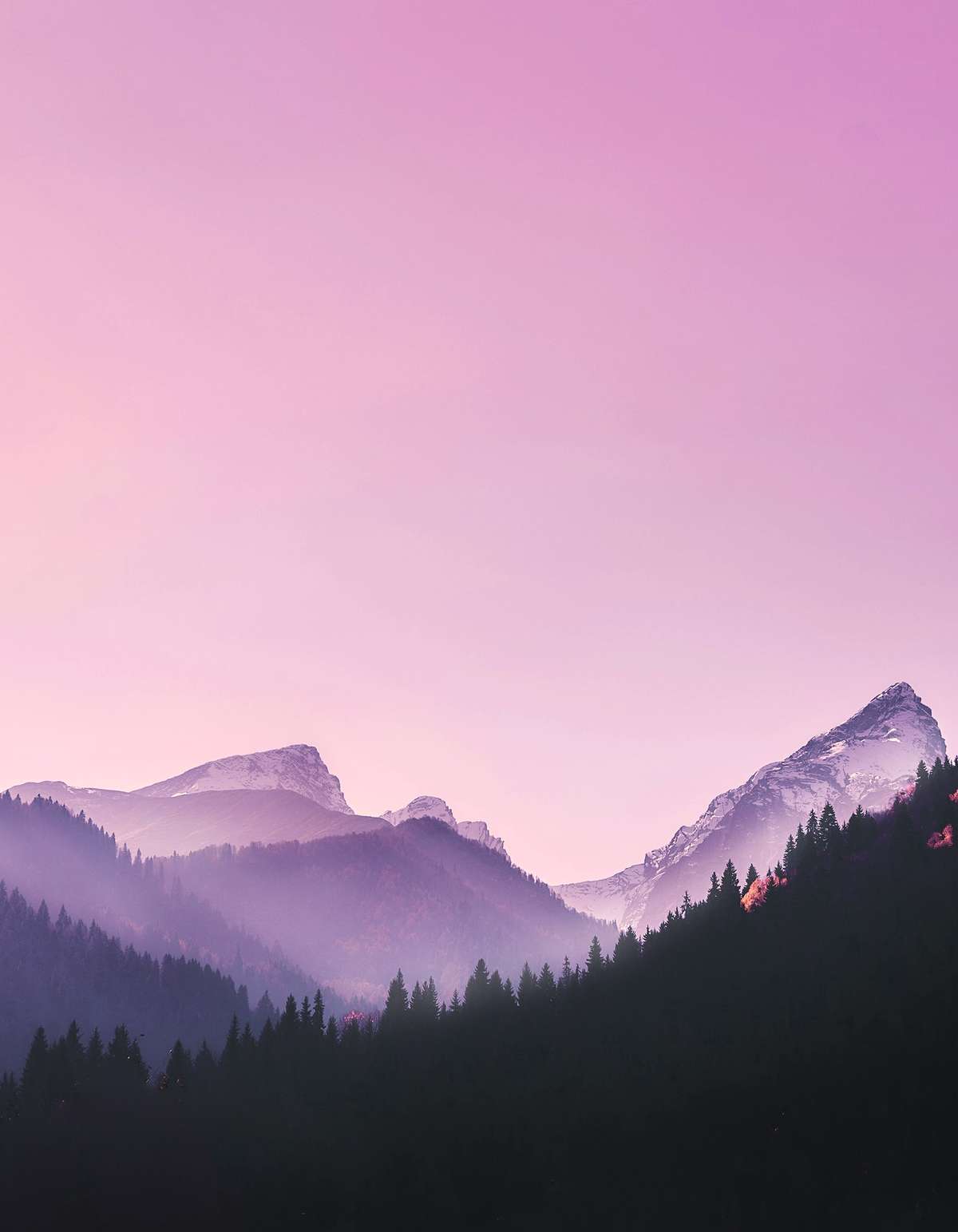Montañas violetas bajo un cielo rosa y malva